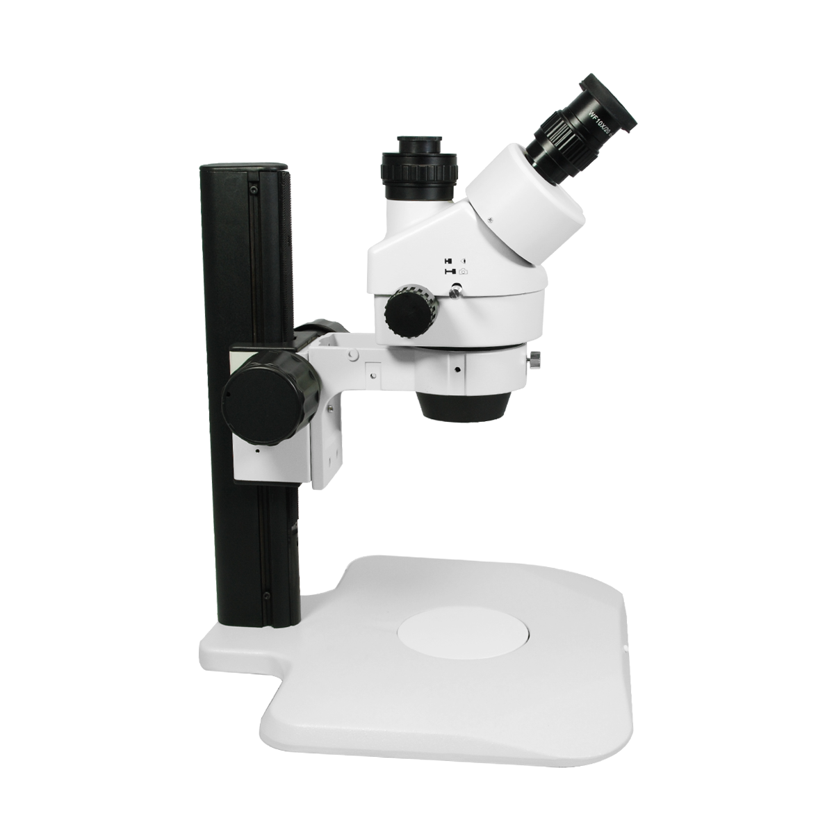 Stereo Microscope